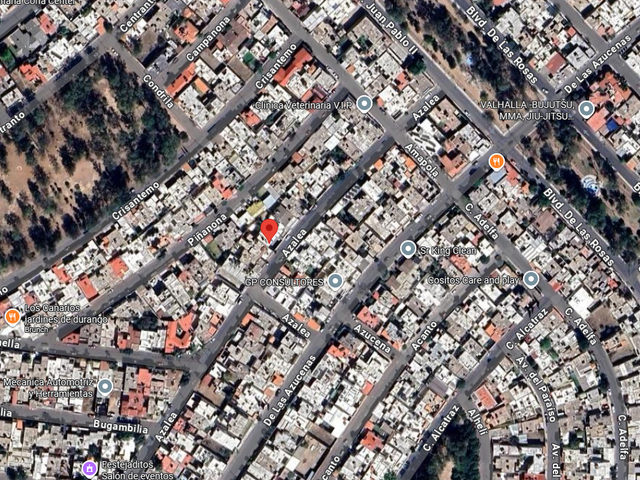 place photo 7