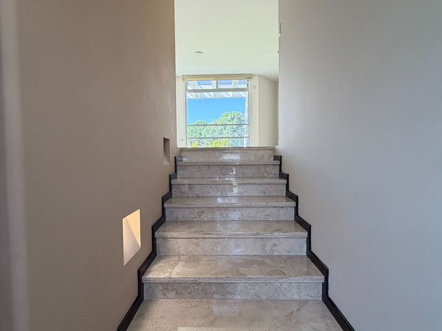 place photo 61