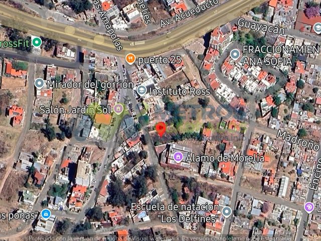 place photo 16