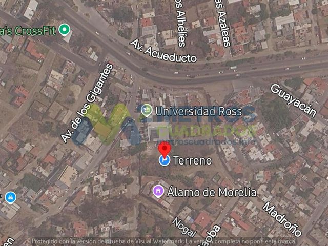 place photo 14