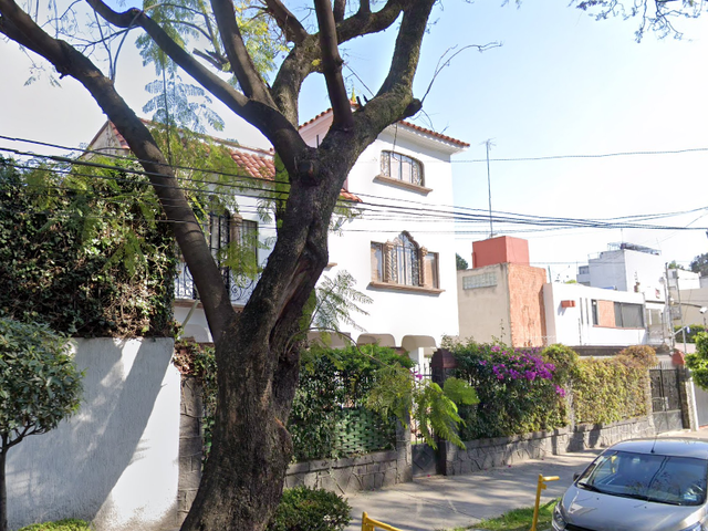 place photo 21