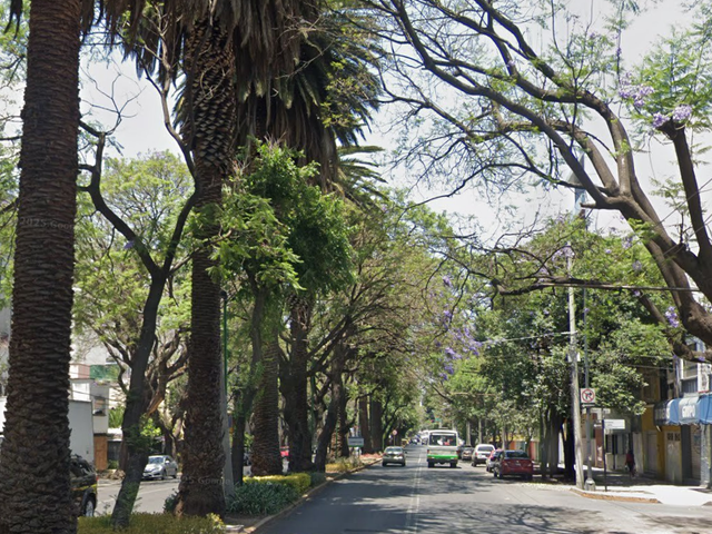 place photo 8