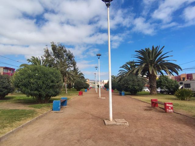 place photo 21