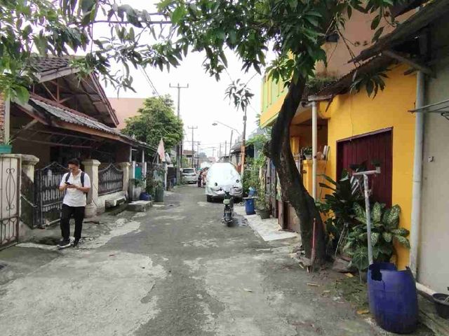 place photo 12