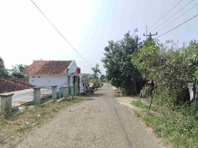 place photo 13
