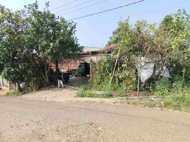 place photo 14