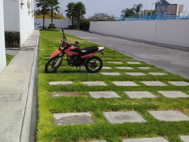 place photo 13