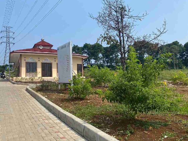 place photo 7