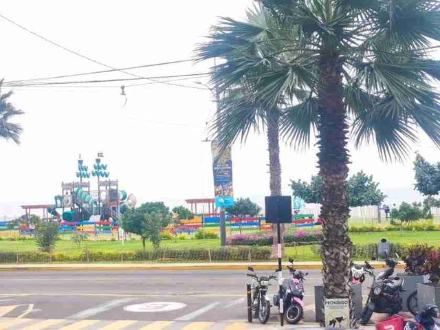 place photo 34