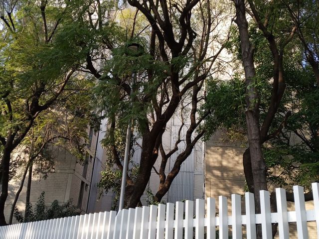 place photo 24