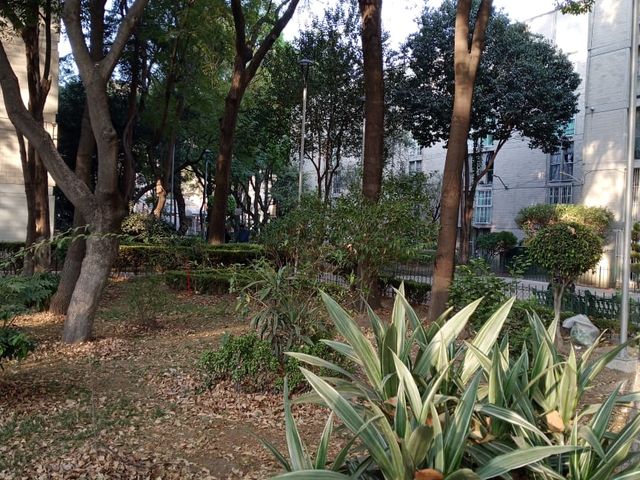 place photo 16
