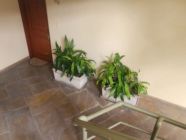 place photo 47