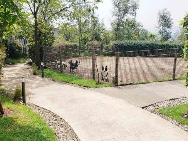 place photo 27