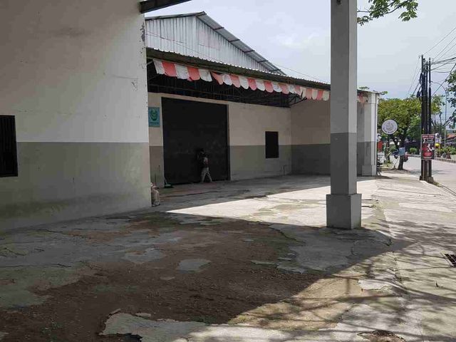 place photo 12
