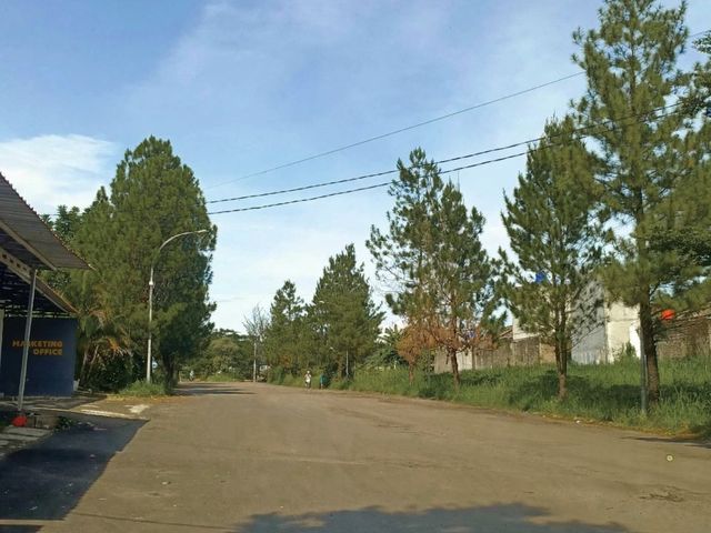 place photo 10