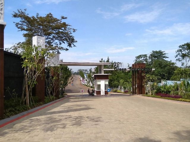 place photo 11