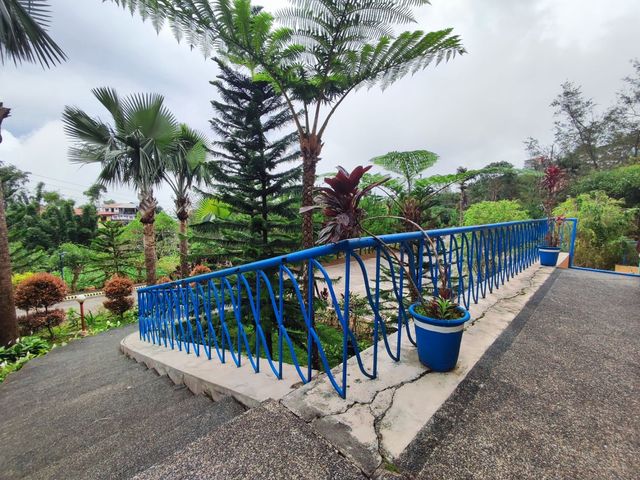 place photo 15