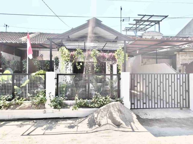 place photo 13