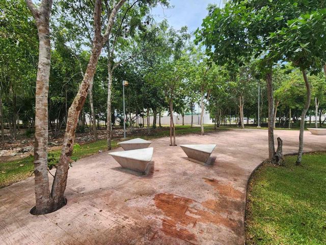 place photo 18