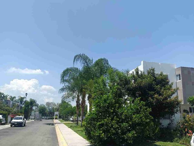 place photo 27