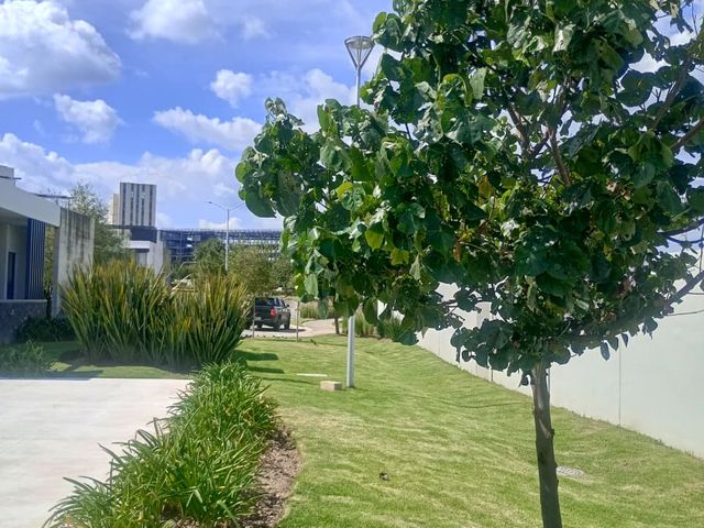 place photo 36