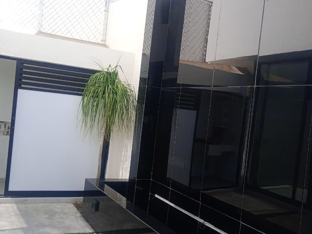 place photo 50