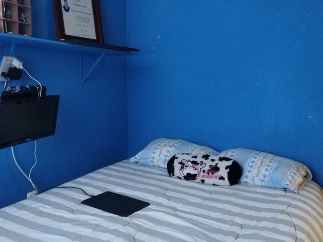 place photo 36