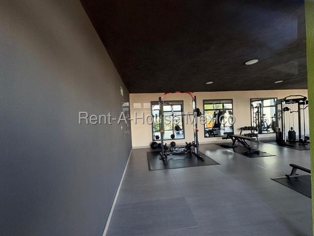 place photo 46