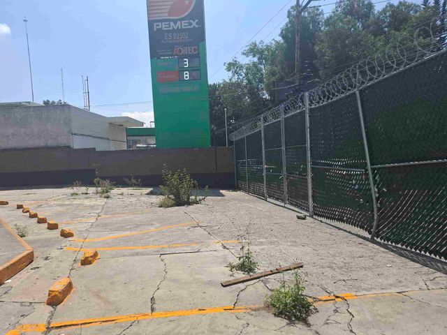 place photo 34