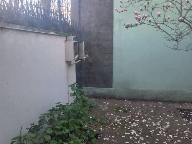 place photo 52