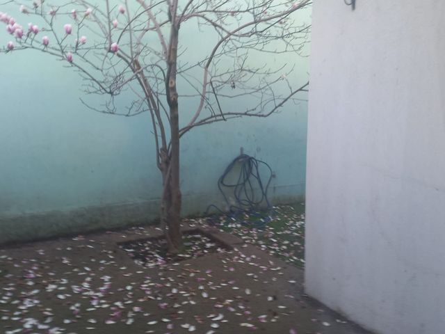 place photo 53