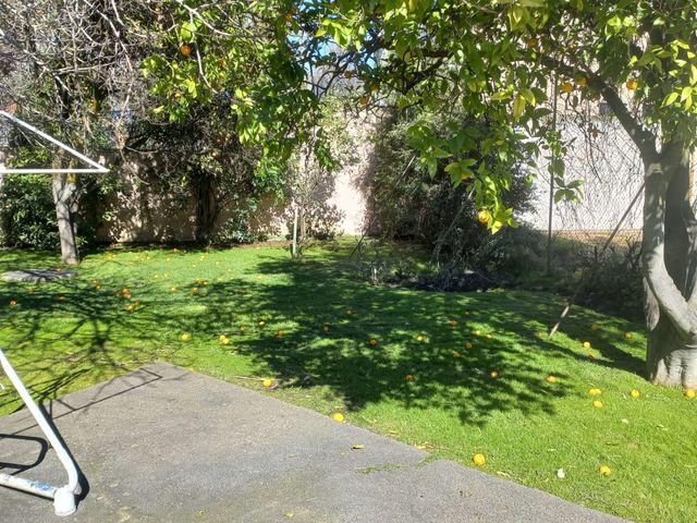 place photo 113