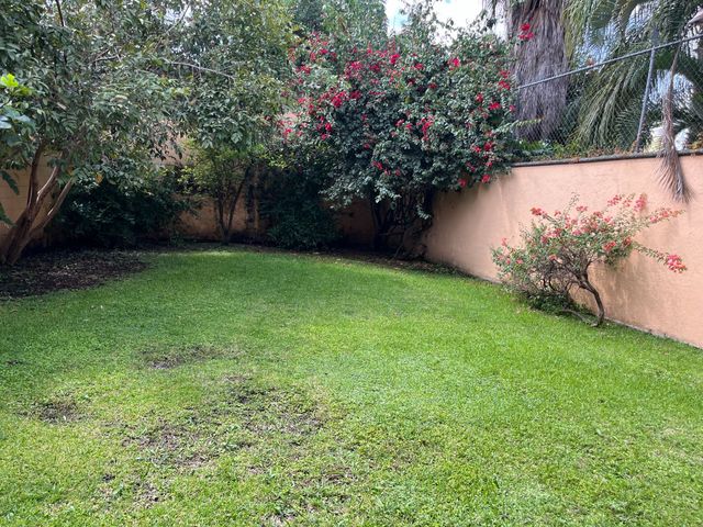 place photo 45