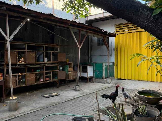 place photo 15