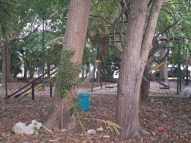 place photo 56
