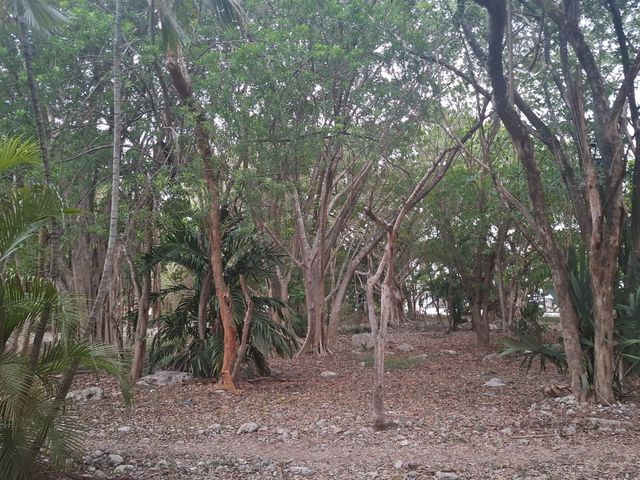 place photo 57