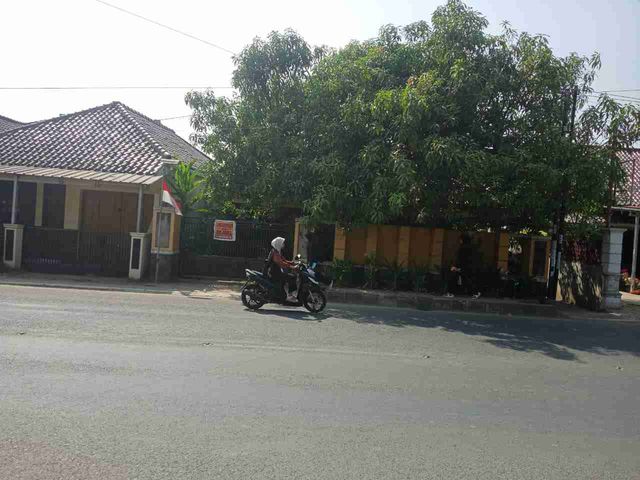 place photo 2