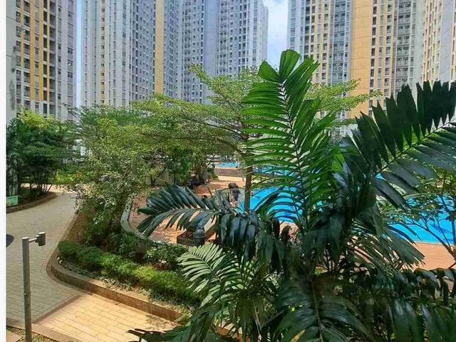 place photo 7