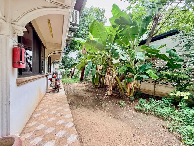 place photo 46