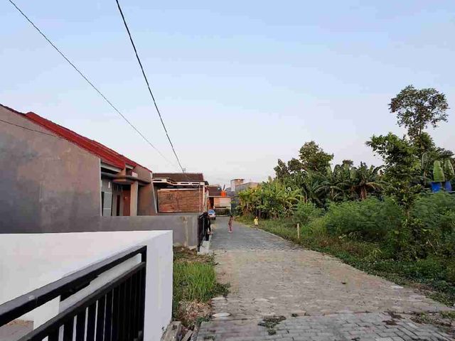 place photo 2