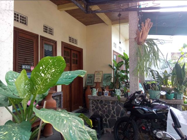 place photo 8