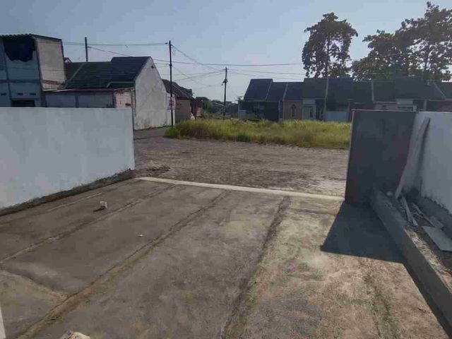place photo 12