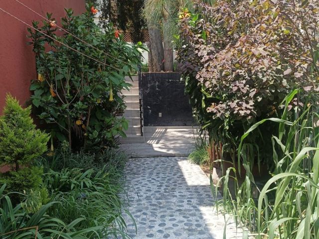 place photo 44