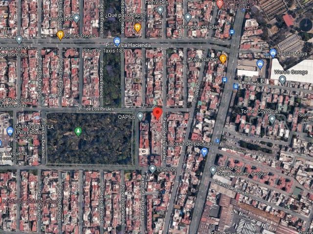 place photo 13