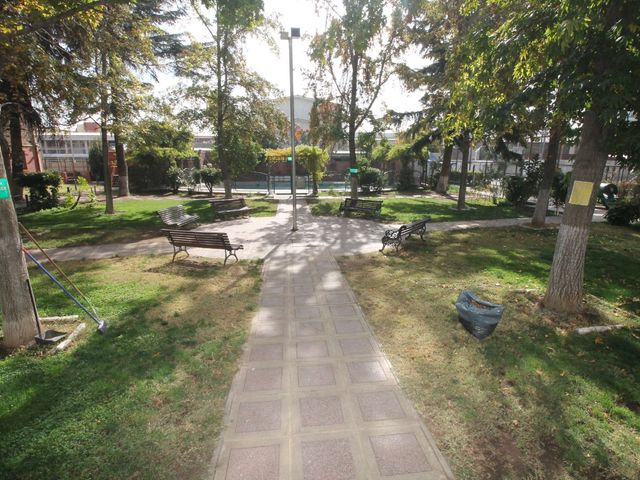 place photo 26