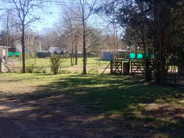 place photo 22