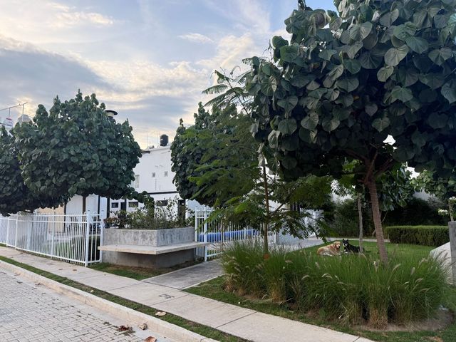 place photo 15