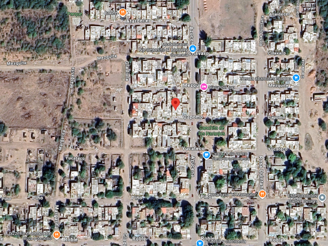 place photo 9