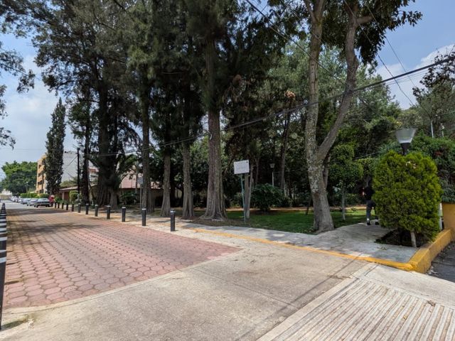 place photo 25