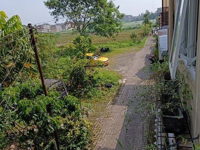 place photo 7